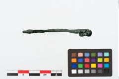 Foto von Bronzeschlangenfibel (NHMW-PRAE-024678)